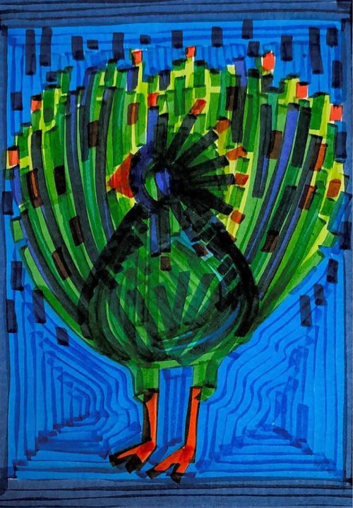 Peacock 021
