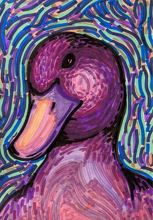 Duck 010